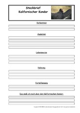 Kalifornischer-Kondor-Steckbriefvorlage.pdf